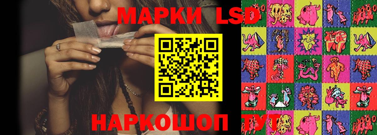 Курчатов  LSD-25 экстази кислота  Лсд 25 экстази кислота  Вход с VPN 